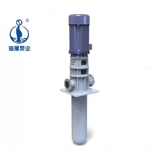 China Single Suction Low Pressure Haishi Diesel Submersible Vertical Vs4 Sewage Pump factory
