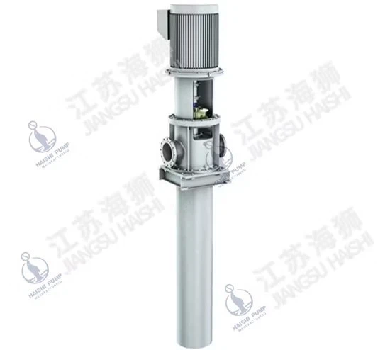 Vs4 Vertical Long Shaft Semi-Submerged Magnetic Driven Pump high quality
