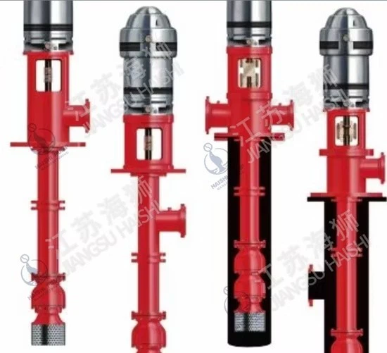 Vs4 Vertical Long Shaft Semi-Submerged Magnetic Driven Pump best